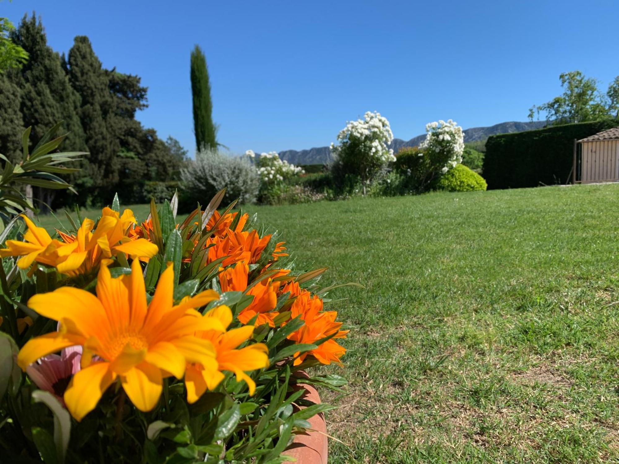 En Provence, Chez Stephanie Et Marcel Saint-Rémy-de-Provence Dış mekan fotoğraf