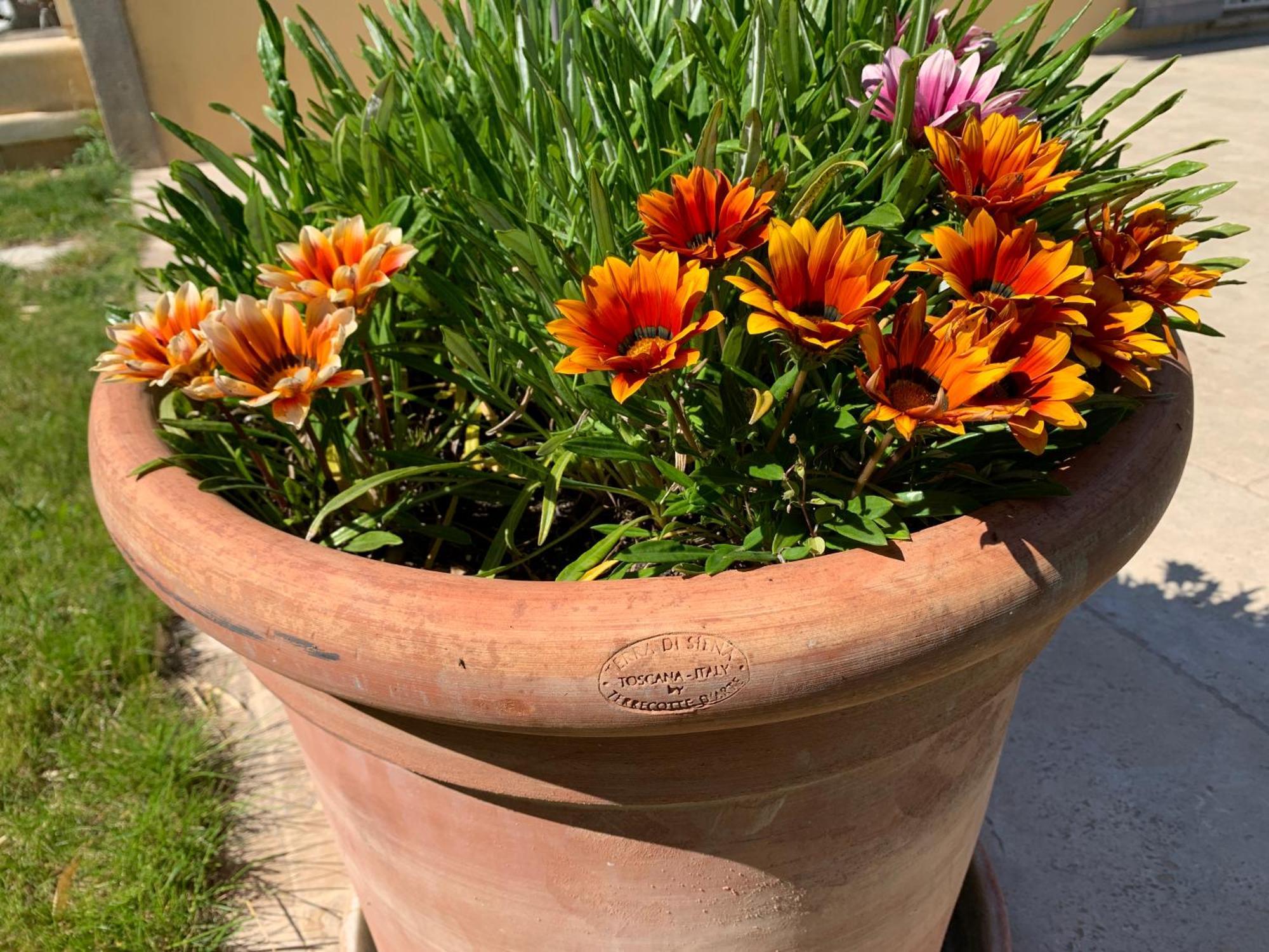 En Provence, Chez Stephanie Et Marcel Saint-Rémy-de-Provence Dış mekan fotoğraf