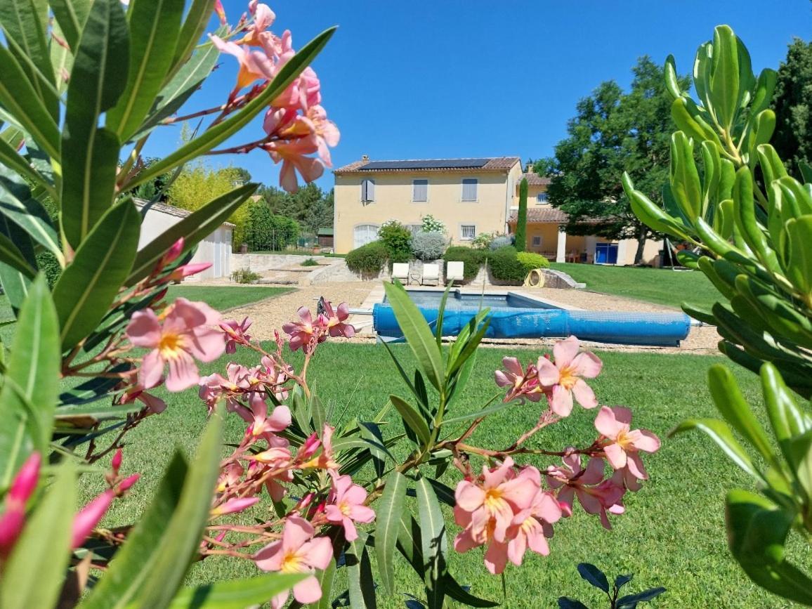 En Provence, Chez Stephanie Et Marcel Saint-Rémy-de-Provence Dış mekan fotoğraf