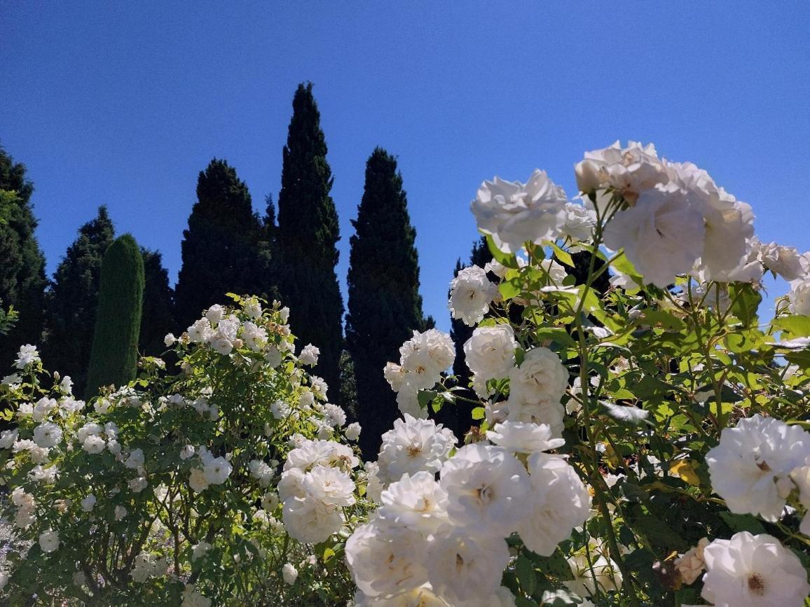 En Provence, Chez Stephanie Et Marcel Saint-Rémy-de-Provence Dış mekan fotoğraf