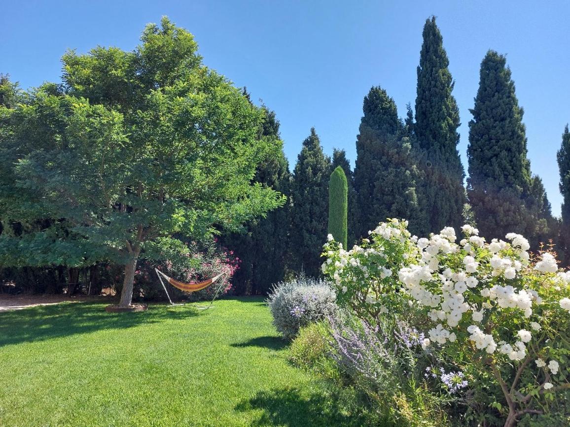 En Provence, Chez Stephanie Et Marcel Saint-Rémy-de-Provence Dış mekan fotoğraf